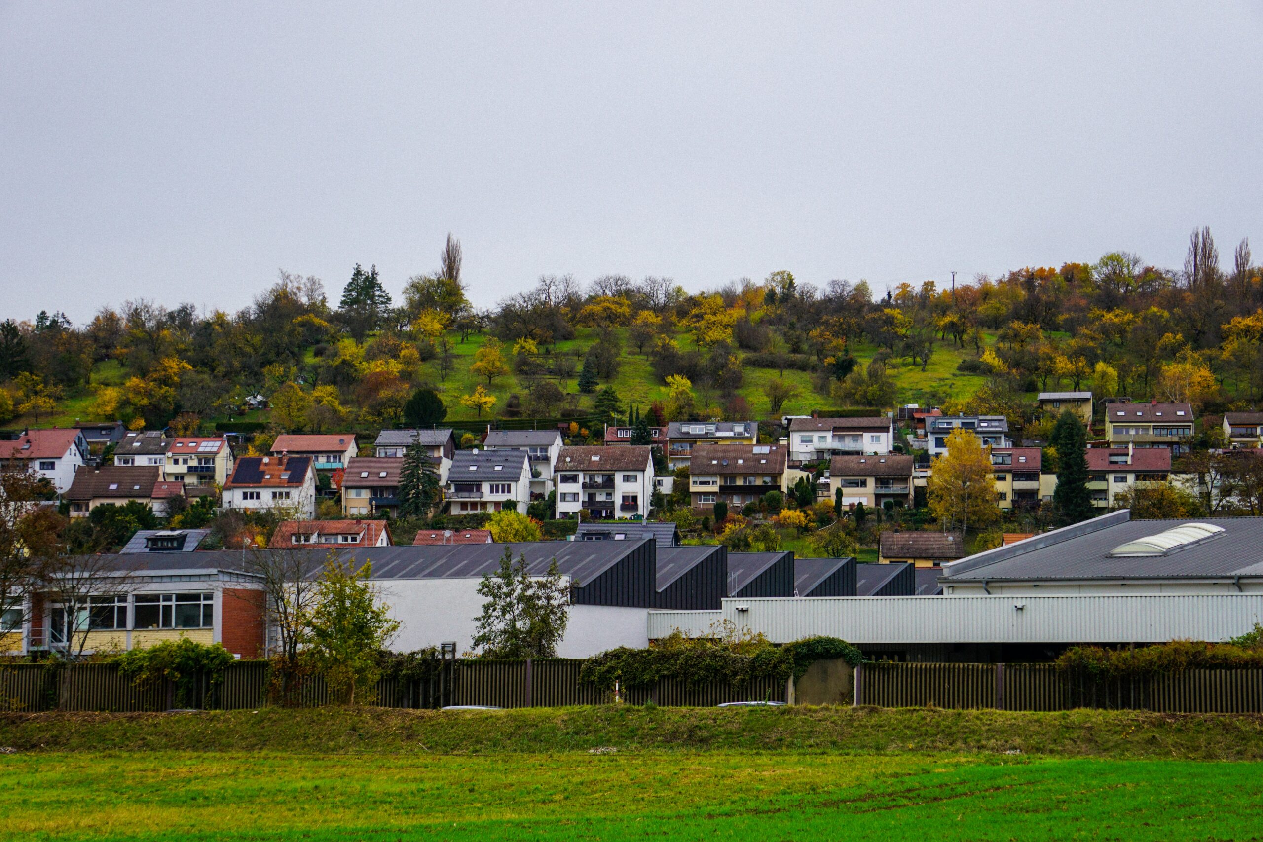 Wohnhäuser am Hang mit herbstlich gefärbtem Wald im Hintergrund und grüner Wiese im Vordergrund.