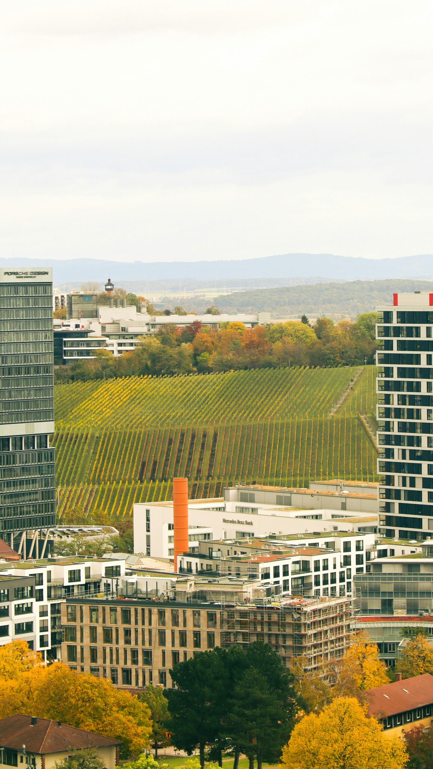 Stadtansicht mit modernen Gebäuden, Weinbergen und herbstlich gefärbten Bäumen im Vordergrund.